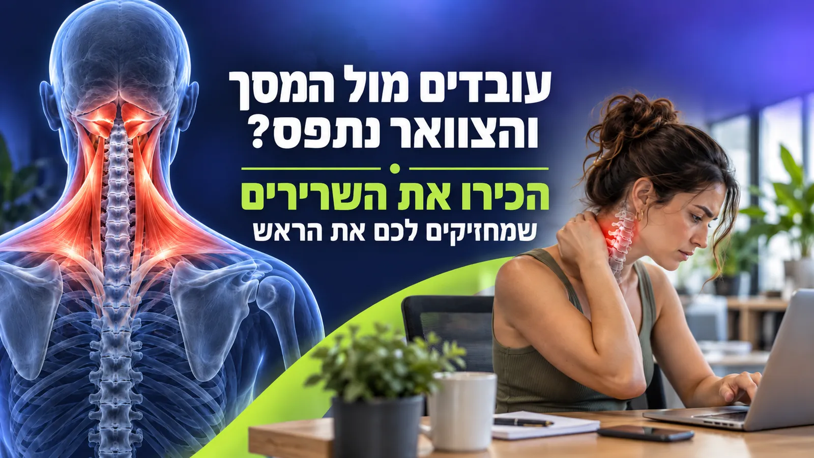 עובדים מול המסך והצוואר נתפס? הכירו את השרירים שמחזיקים לכם את הראש