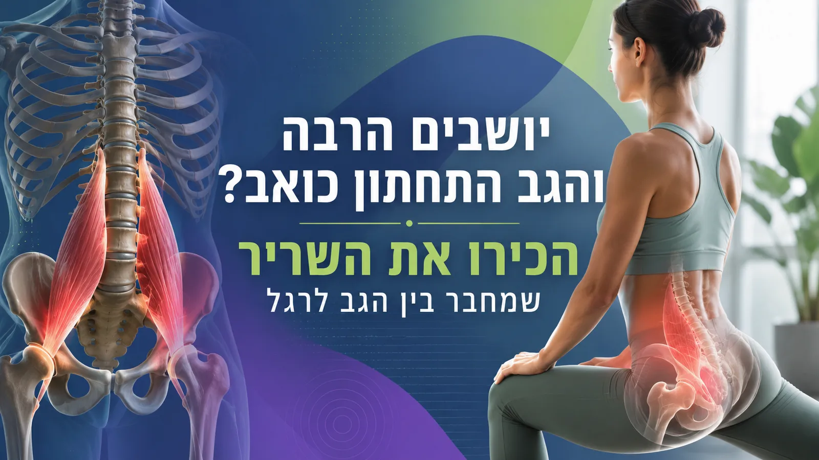 יושבים הרבה והגב התחתון כואב? הכירו את השריר שמחבר בין הגב לרגל
